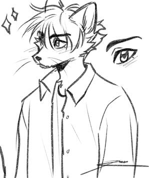 Steffan