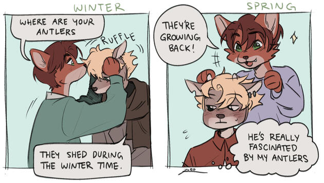 Antlers